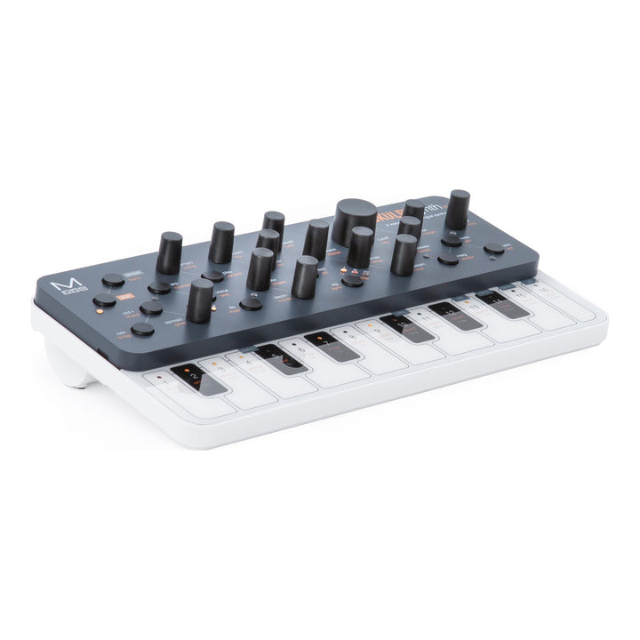 Modal Electronics Modal Electronics Skulpt SE Desktop Synthesizer