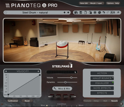 PIANOTEQ Pianoteq Steel Pans Add-On