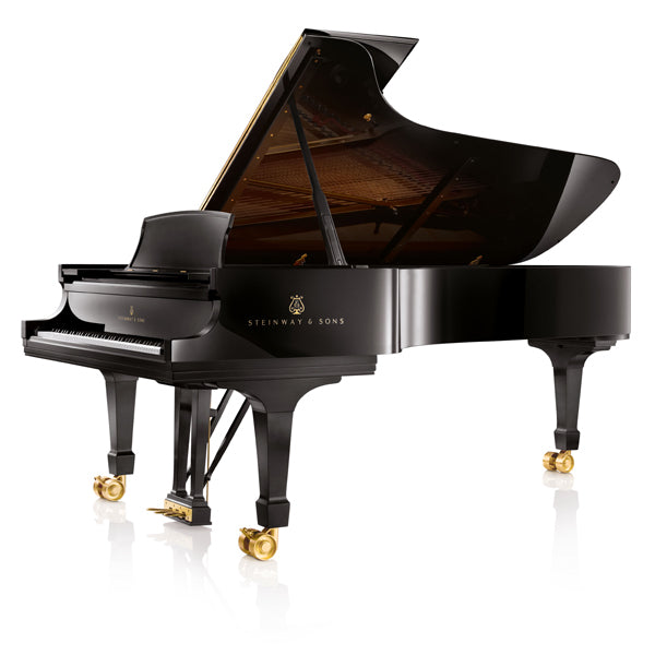 PIANOTEQ Pianoteq Steinway Model D