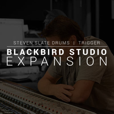 STEVEN SLATE TRIGGER 2 Blackbird expansion