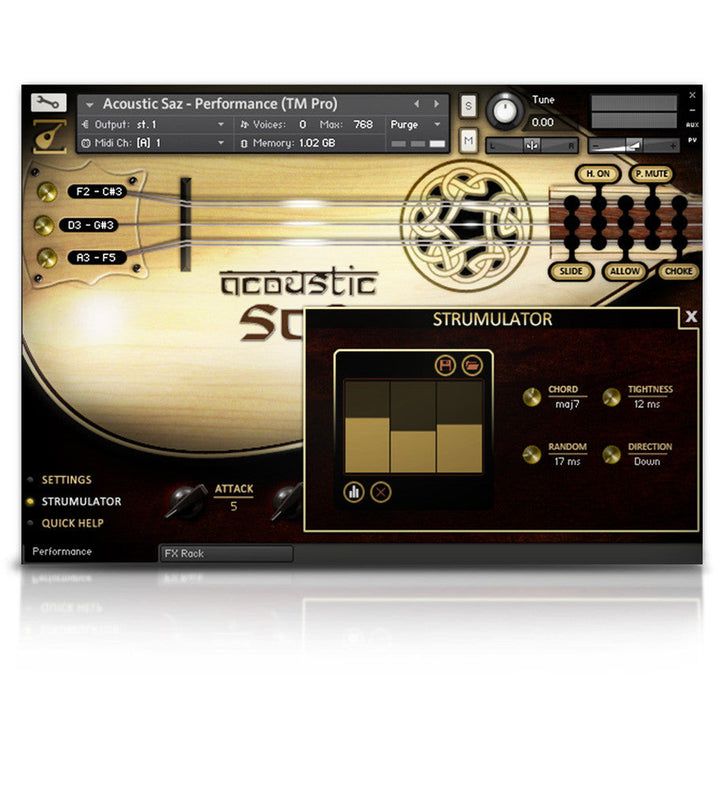 Acoustic Saz - 2