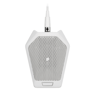 Audio-Technica U891RWB