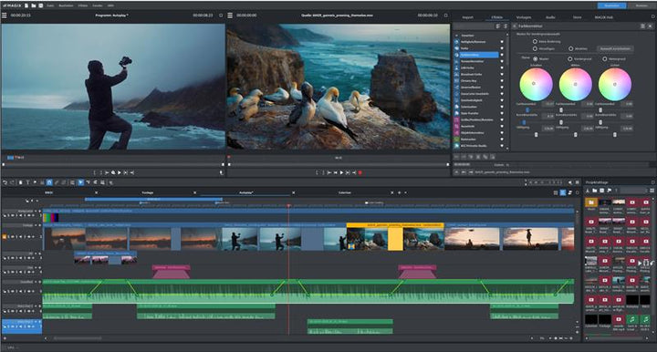 MAGIX MAGIX Video Pro X 365