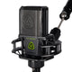 Lewitt LCT240PROVOCSET Condenser microphone with high-performance capsule