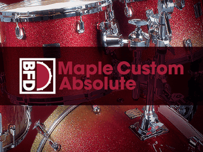 BFD BFD MAPLE CUSTOM ABSOLUTE