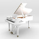 PIANOTEQ Pianoteq YC5 Rock Piano